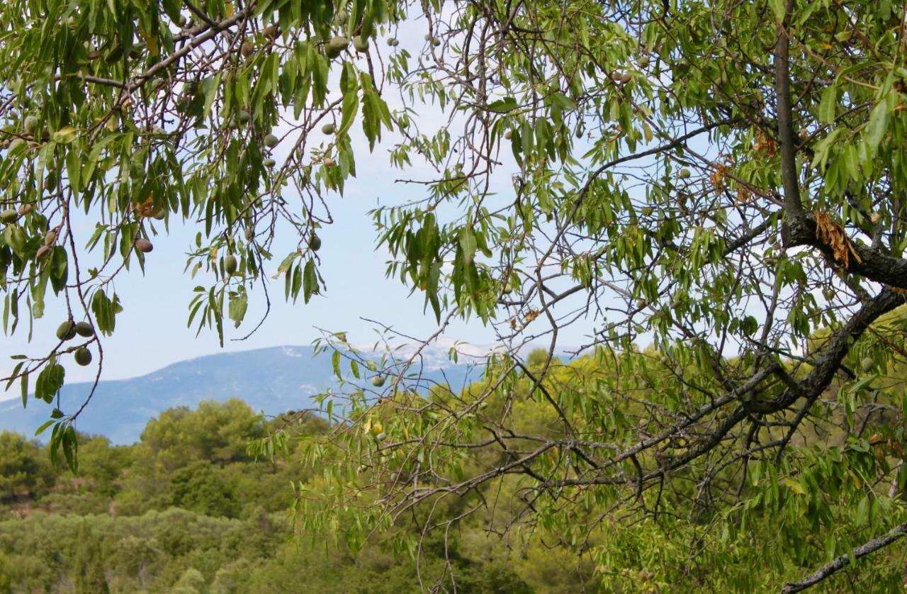 Mas De La Gonnette Villa Venasque Dış mekan fotoğraf